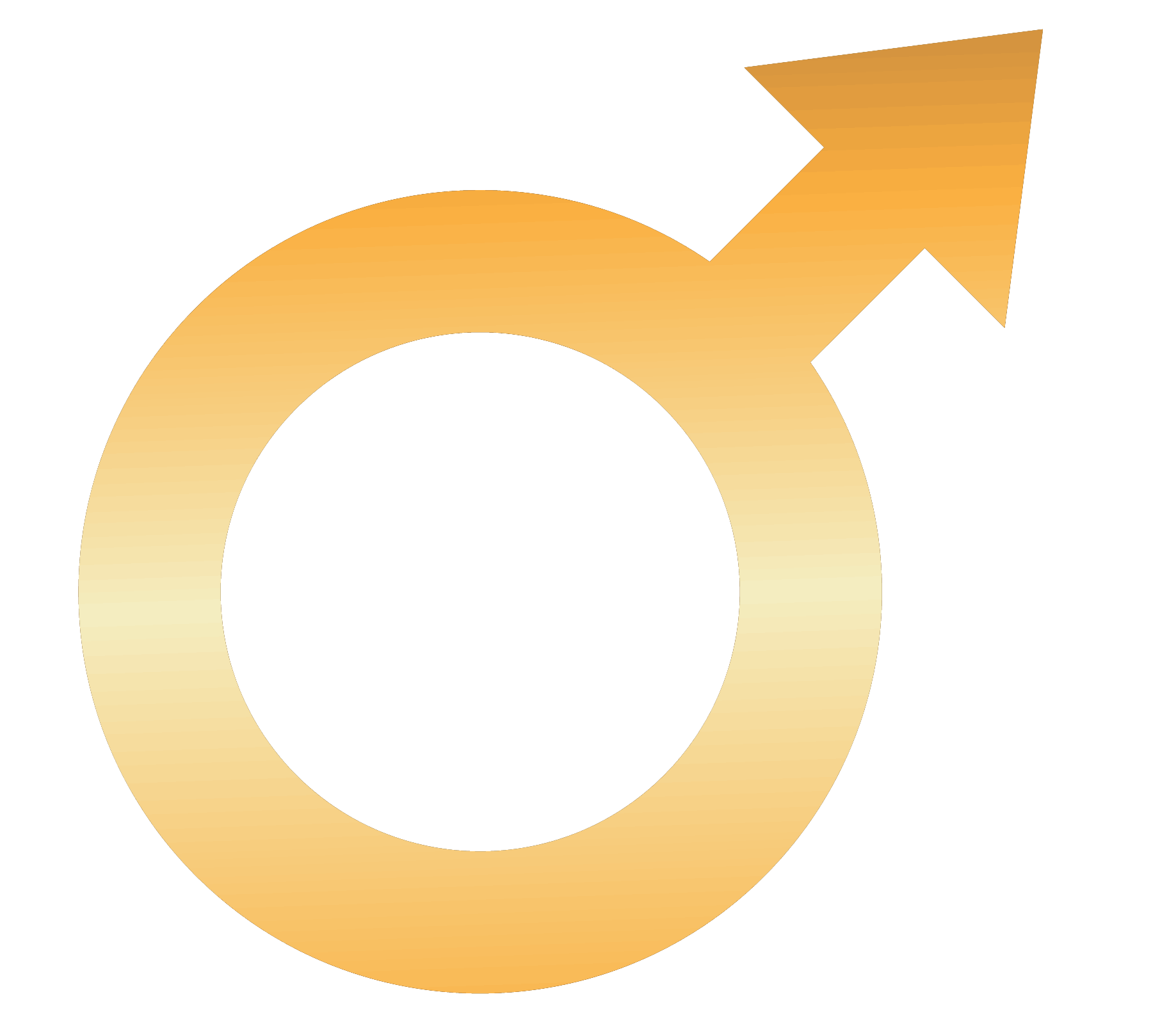 PowerX Pro Logo